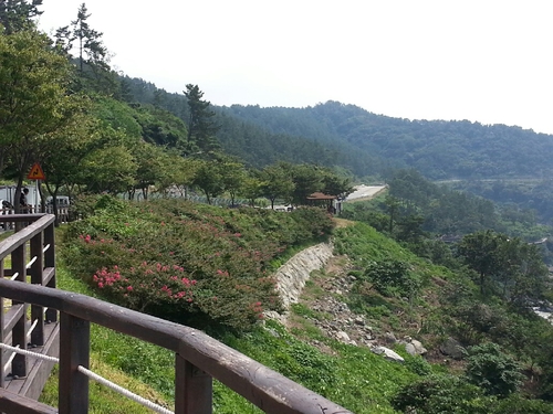 나라렌트카 영광점 대표 이미지