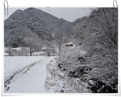 산골초가펜션