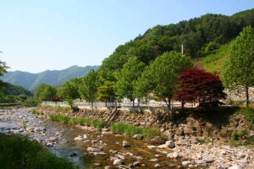 포시즌캠핑장