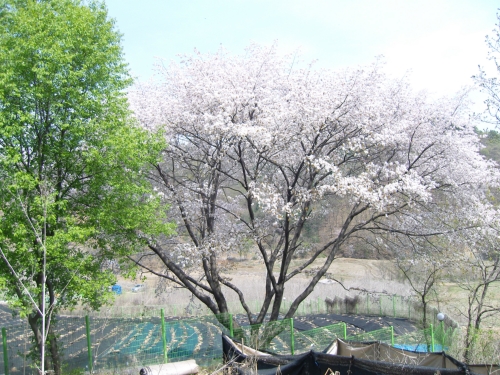 가람농원