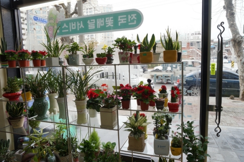 오정꽃집