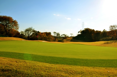 한양파인CC 대표 이미지