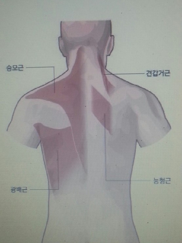 지성의힐링센터 대표 이미지