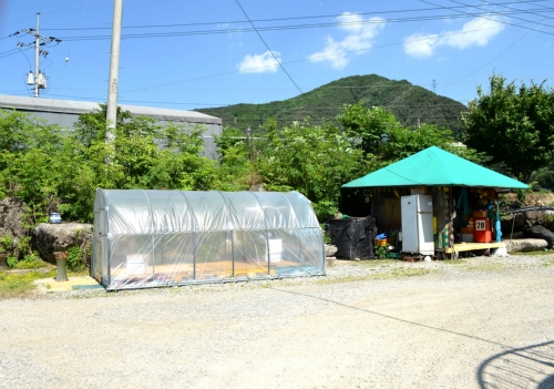 지연네민박
