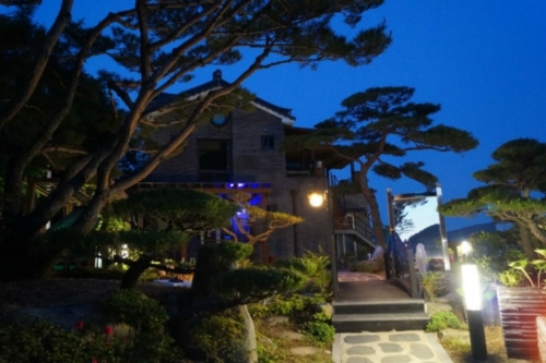 고수대애보이차