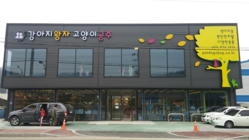 애견용품전문업체 추천 경북 칠곡군 지역 우수업체 강아지목줄 강아지쿨나시 강아지쿨조끼 강아지왕자고양이공주