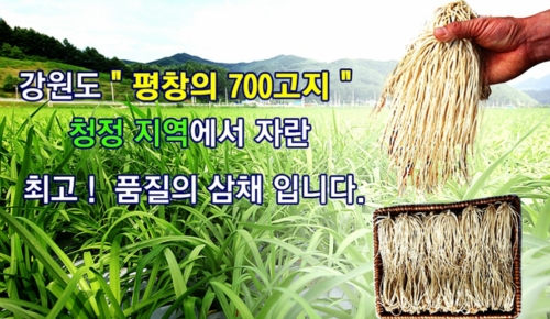 평창고랭지삼채농원