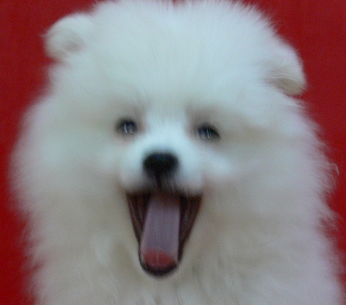 이미지