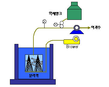 평화개발