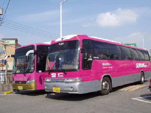 선진관광 방도식