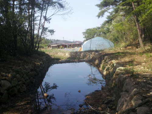 힐링팜
