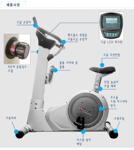 신화스포츠 대표 이미지