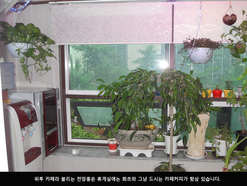 위투 듀오텔