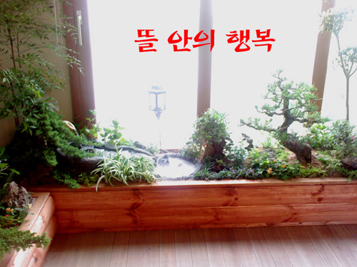 뜰안의행복