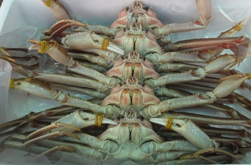 바다풍경대게