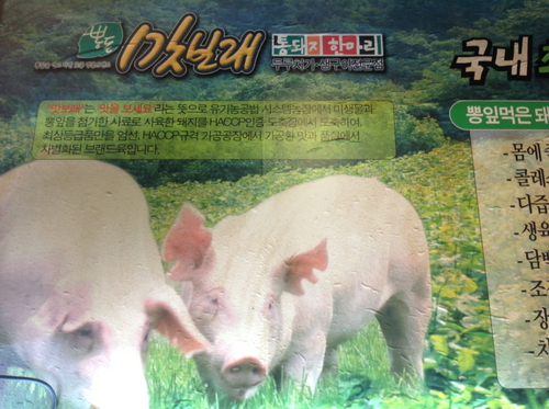 맛보래