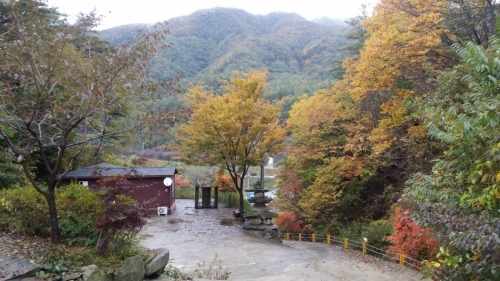 덕유산 병곡계곡펜션캠핑