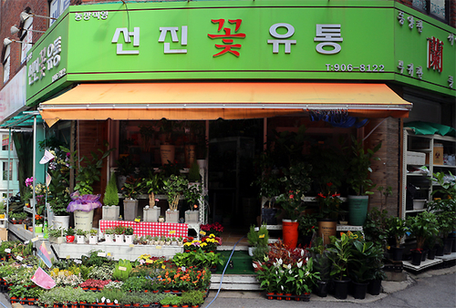 선진화훼유통