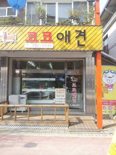 코코애견