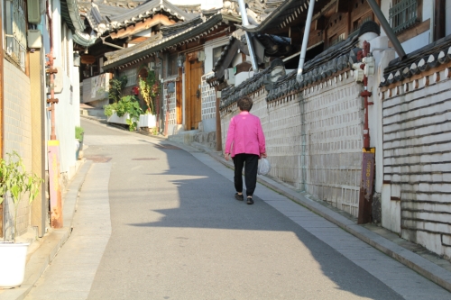 대풍관광여행사