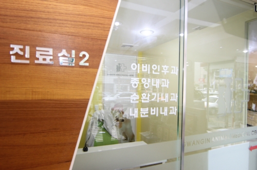 광진동물의료센터 대표 이미지