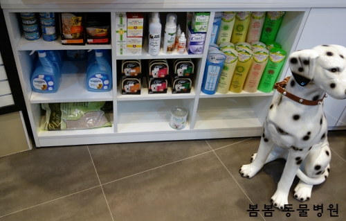 봄봄동물병원 대표 이미지