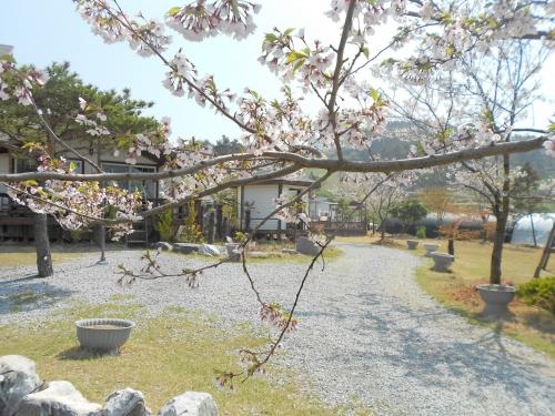 별빛