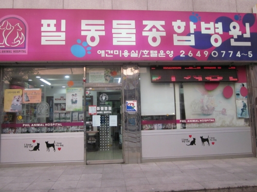 필동물종합병원