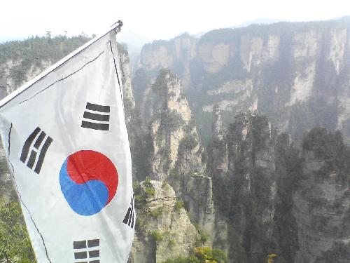 세화여행사