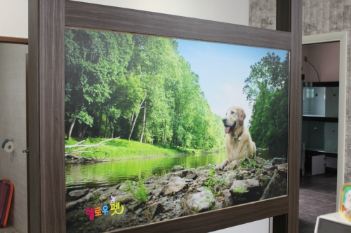 제주헬로우펫 대표 이미지