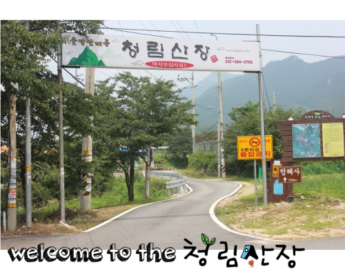 청림산장