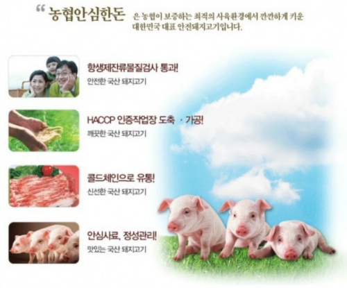 농협안심축산물전문점 목동시장점