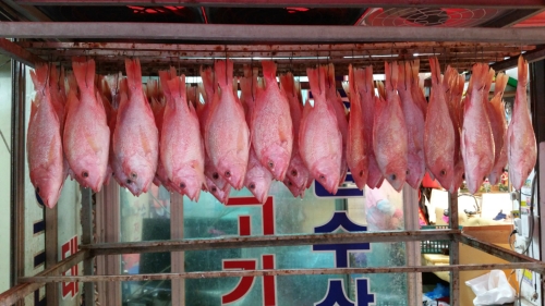 광원수산