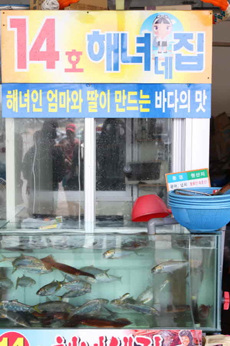 14호해녀네