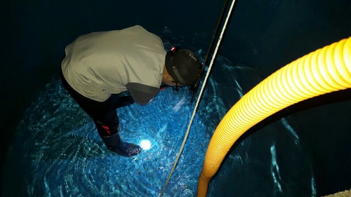 스타클린컴퍼니