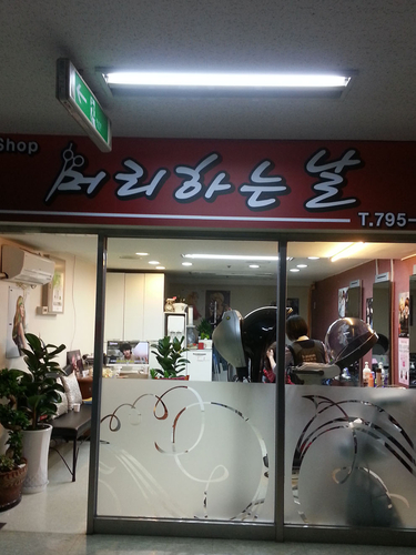 머리하는날