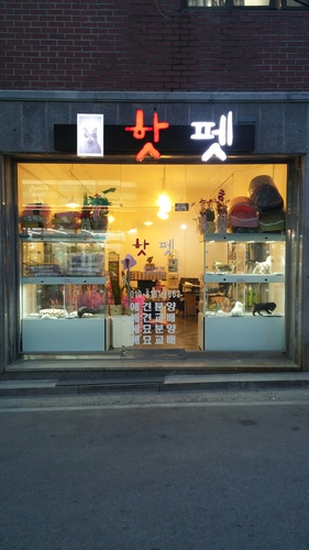 핫펫