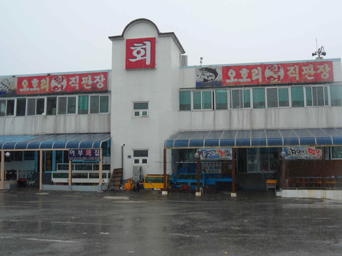 돌고래횟집