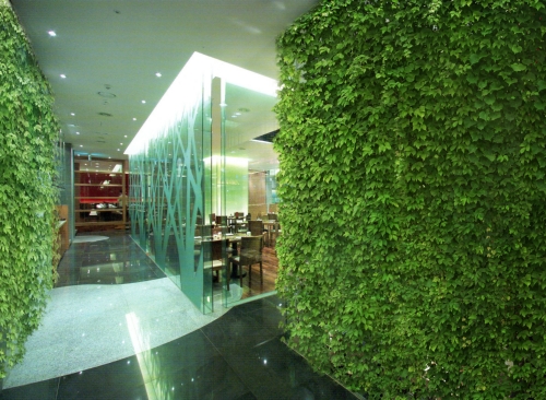 숲IN