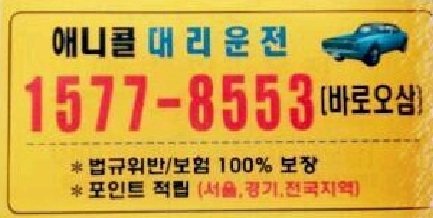 애니콜대리