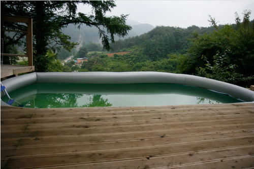별바라기