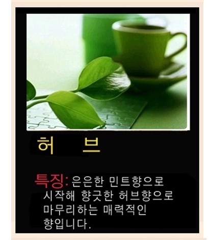 하카전자담배 춘천퇴계점