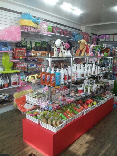 코코애견 대표 이미지