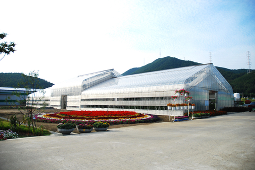 에스지티