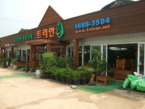 트리안