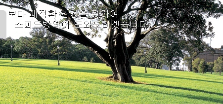스피드방역