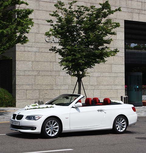 루베웨딩카장식 대표 이미지