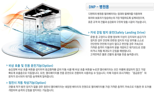 디엔피