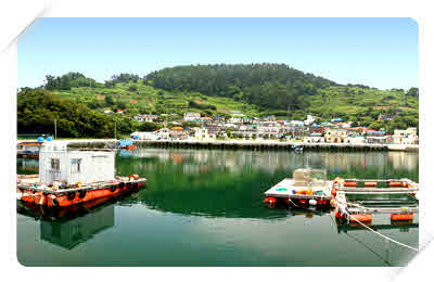 학림도