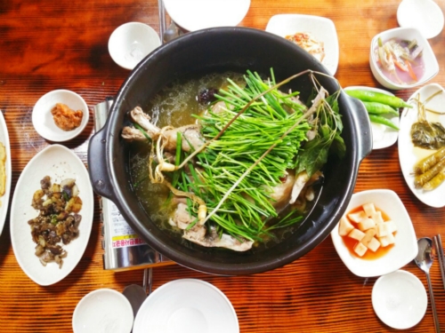 산야초산삼백숙